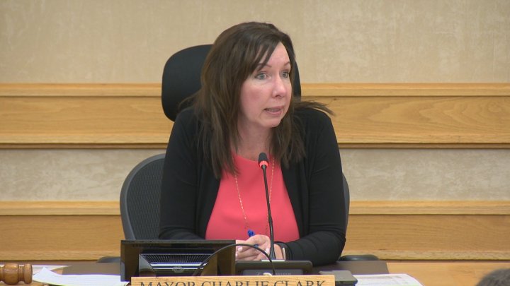 Saskatoon city councillor Ann Iwanchuk not seeking re-election ...