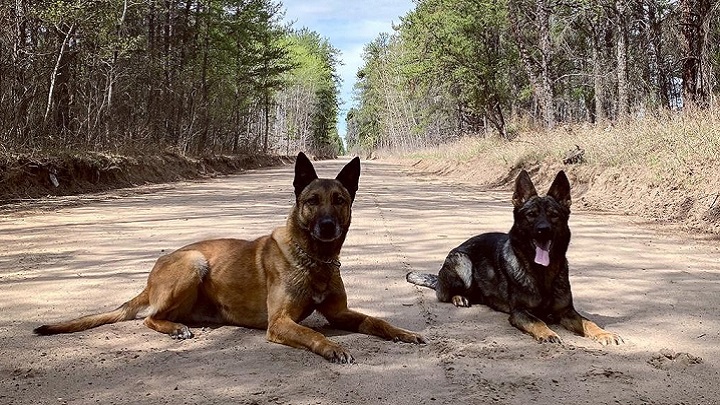 Jaks and Tai enjoying the shade.