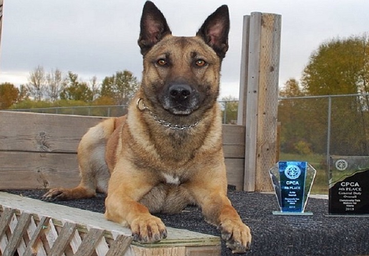 The Ministry of Environment recently said goodbye to a trusted co-worker after Conservation Officer Service Dog Jaks retired in April.