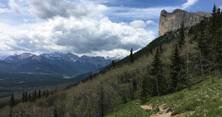 Opposition questions claim that $10M from Kananaskis park pass is improving area