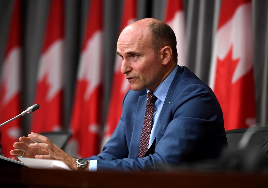 President of the Treasury Board Jean-Yves Duclos speaks during a news conference on the COVID-19 pandemic on Parliament Hill in Ottawa, on Monday, June 22, 2020. Duclos acknowledges the federal government needs "to do better" at responding to formal information requests from the public.THE CANADIAN PRESS/Justin Tang.