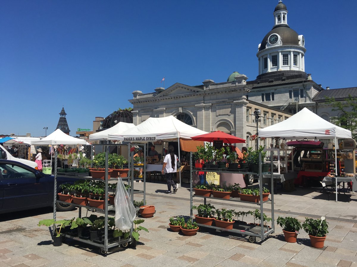Kingston's public market in Springer Market Square will be operational again on June 30.