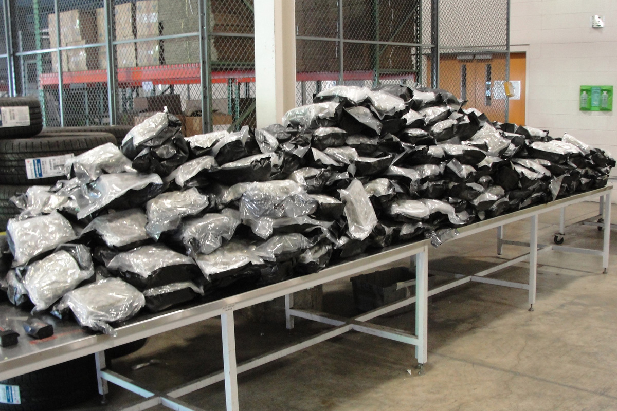 A photo of the massive cannabis seizure.