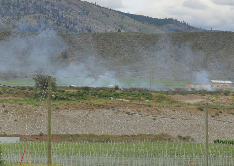 Wild grass and sagebrush ignited when birds struck a power line in the area and fell to the ground, according to fire officials.