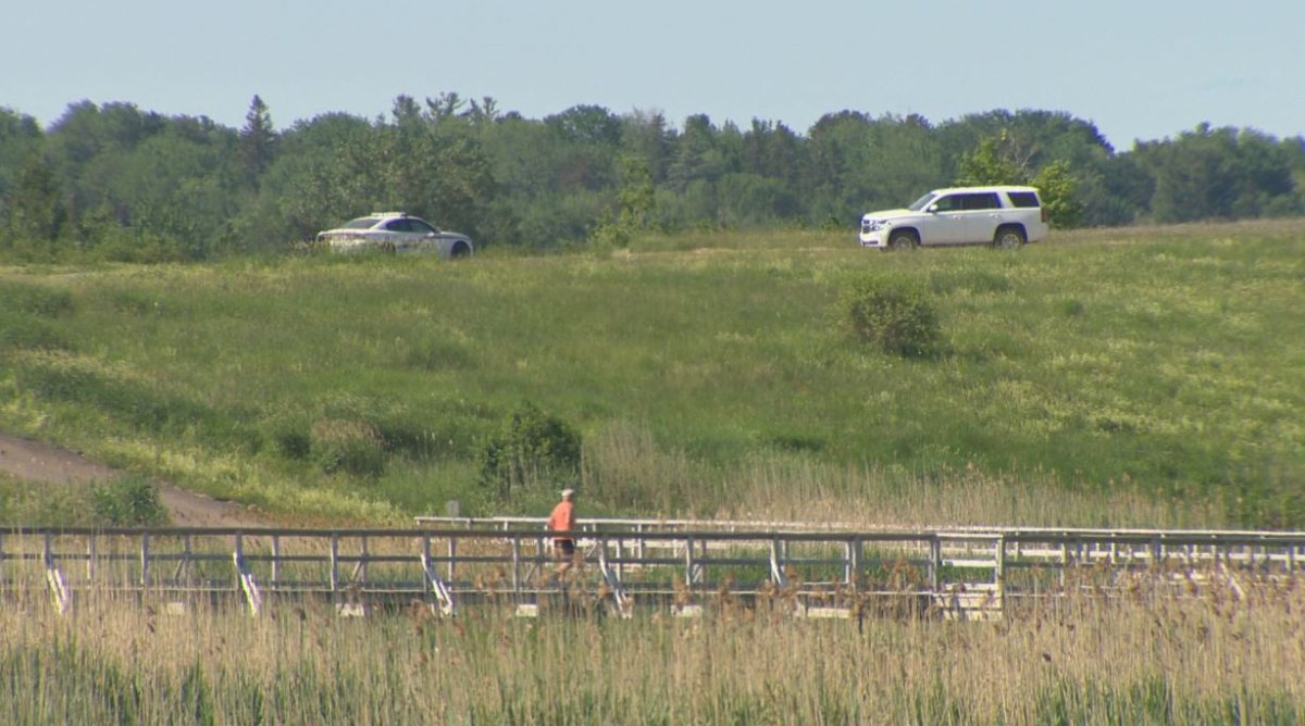 A runner passes by two RCMP vehicles on the trail near Gunningsville Bridge in Moncton on Wednesday, June 24, 2020. 