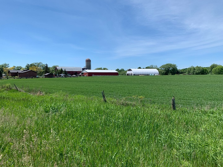 A photo of farm land in Prince Edward County in Ontario on June 8, 2020.