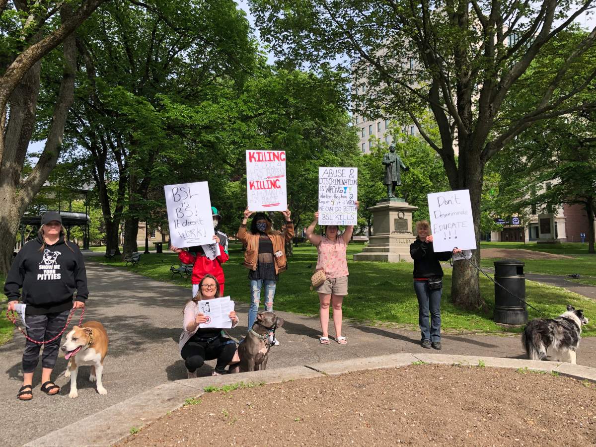 A group of dog owners rallying in Saint John to advocate for pit bulls on June 27, 2020.
