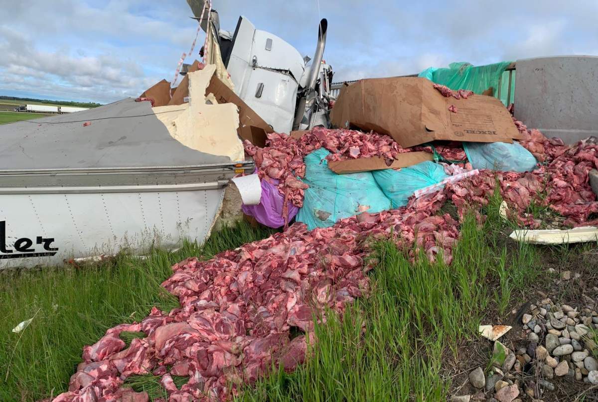 Raw beef spilled out onto Highway 616 and the nearby embankment after a semi drove off the QEII Highway Wednesday, June 24, 2020.