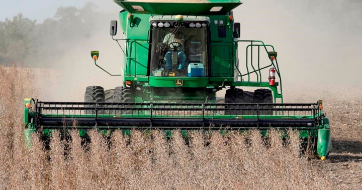 Harvest on the horizon for Saskatchewan farmers