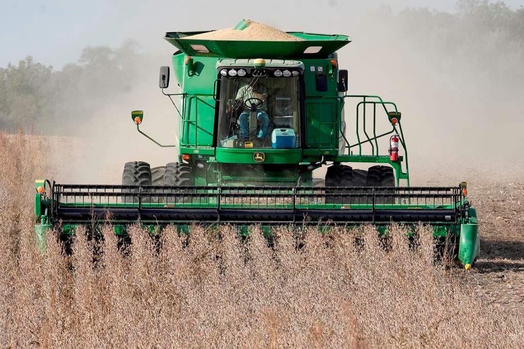 A combine harvests soybeans in rural Blair, Neb., Thursday, Oct. 17, 2019.