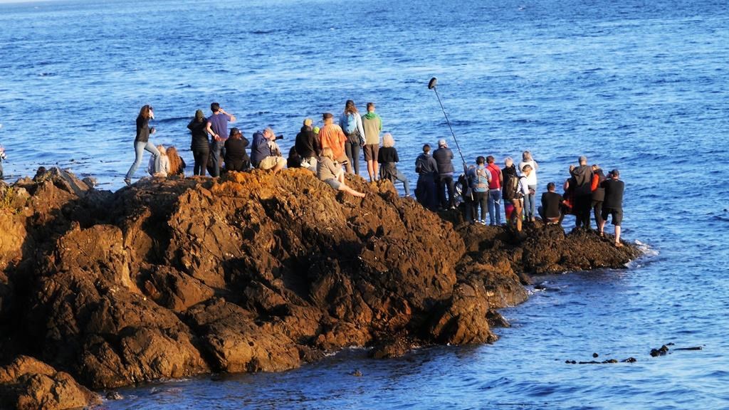 A scene from the documentary 'The Walrus and the Whistleblower' is shown in a handout photo.