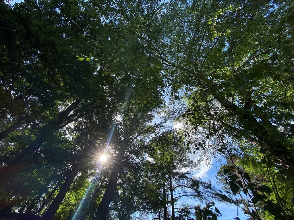 RCMP in the Okanagan are reminding campers and hikers to always have a good plan in place after they spent three days looking for a lost camper.