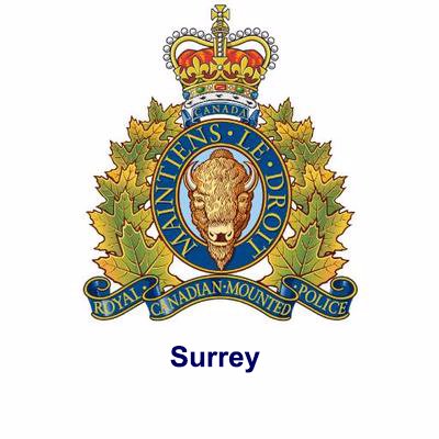 Arrests made after Surrey RCMP respond to ‘shots fired’ call in Cloverdale - image