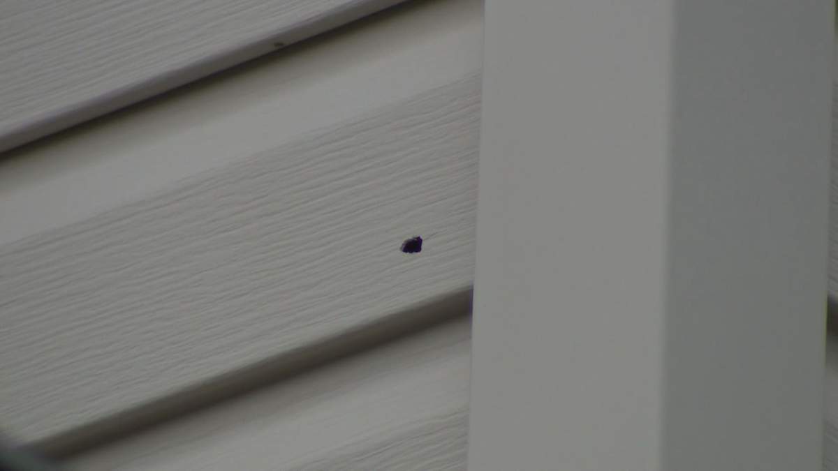 A bullet hole in a Taradale home in Calgary.