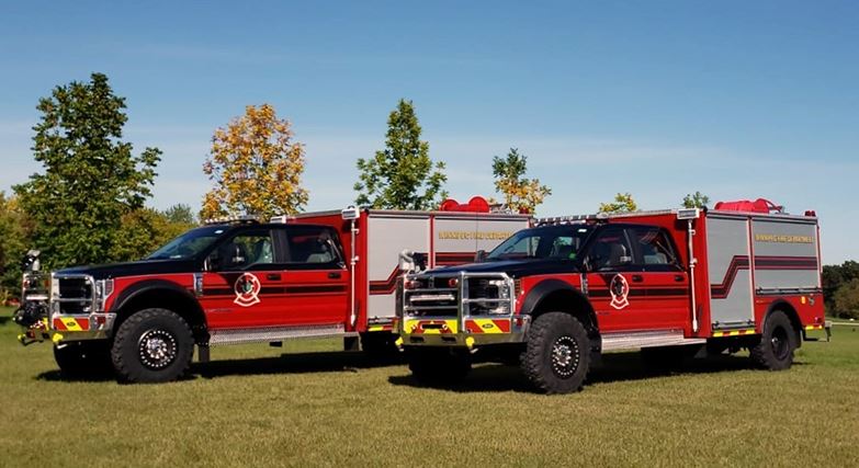 Пет котки и един хамстер бяха намерени мъртви в дом