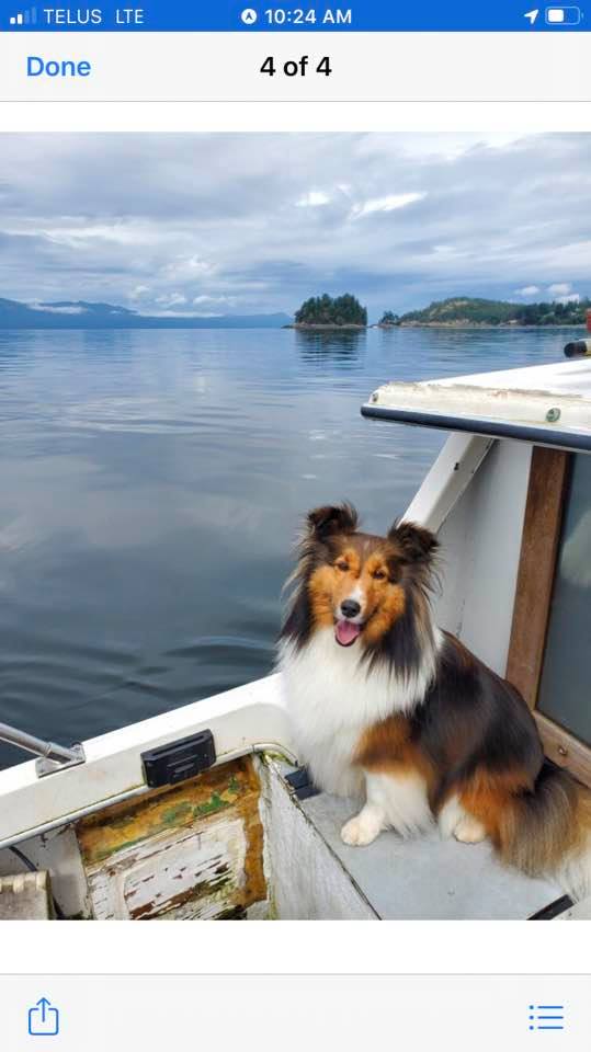 This is where Thorne was sitting when she went overboard. Photo submitted by Sherry Duncan.