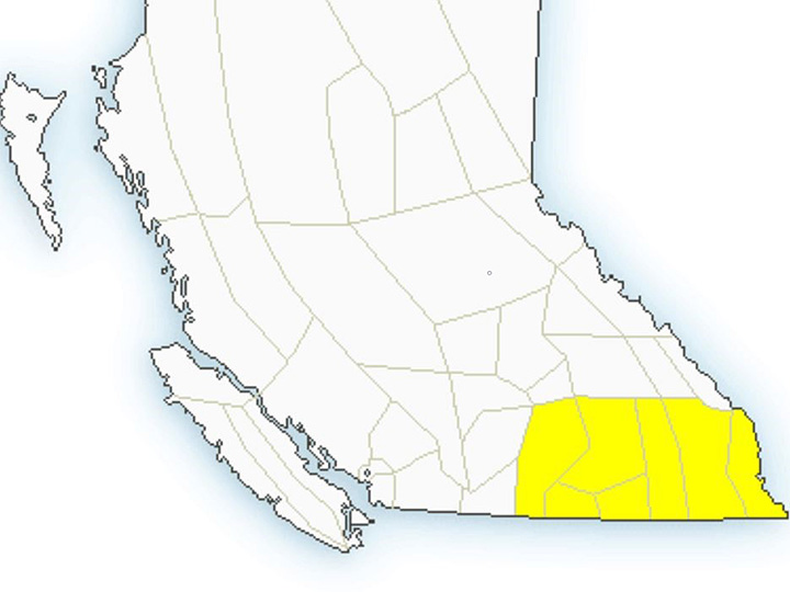 The severe thunderstorm watch was issued by Environment Canada at 9:28 a.m. on Wednesday and stretches from the Okanagan to the Alberta border.