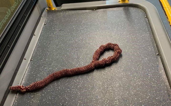 A Metro Vancouver bus driver says a passenger told him to hang himself with a noose-shaped object left on his vehicle. 