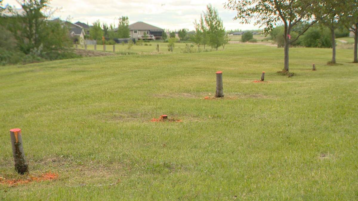 The town of White City said the vandalized trees were planted