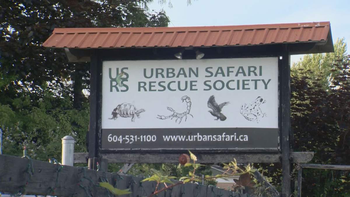 The Urban Safari Rescue Society in Surrey.
