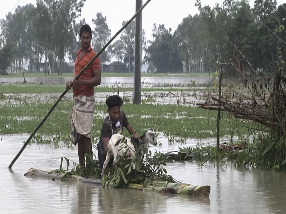 In this video grab taken from the Associated Press Television footage Bangladeshi men with a goat row a banana raft through flood waters in Lalmonirhat, Bangladesh, Monday, July 13, 2020. Heavy flooding is worsening in parts of Bangladesh, with over 1 million villagers marooned or leaving their homes for higher ground along with their cattle and other belongings, officials and volunteers said Tuesday. 