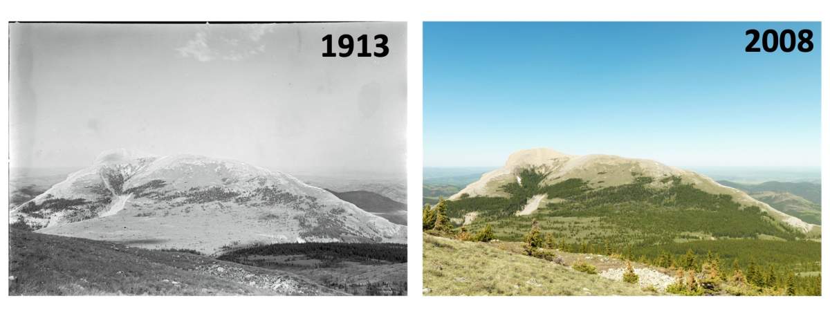 University of Waterloo researchers used before and after photos to see how mountain habitats had changed by tracking treelines and tree density.