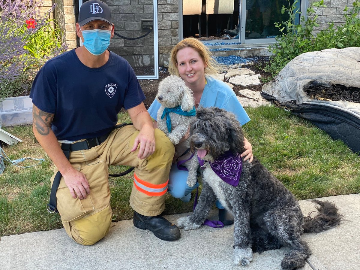 A paw-sitive outcome for these two pooches. A battery pack they chewed on ignited a mattress, seen far right, at a west London residential building on July 23, 2020. Both got out of the building unharmed.