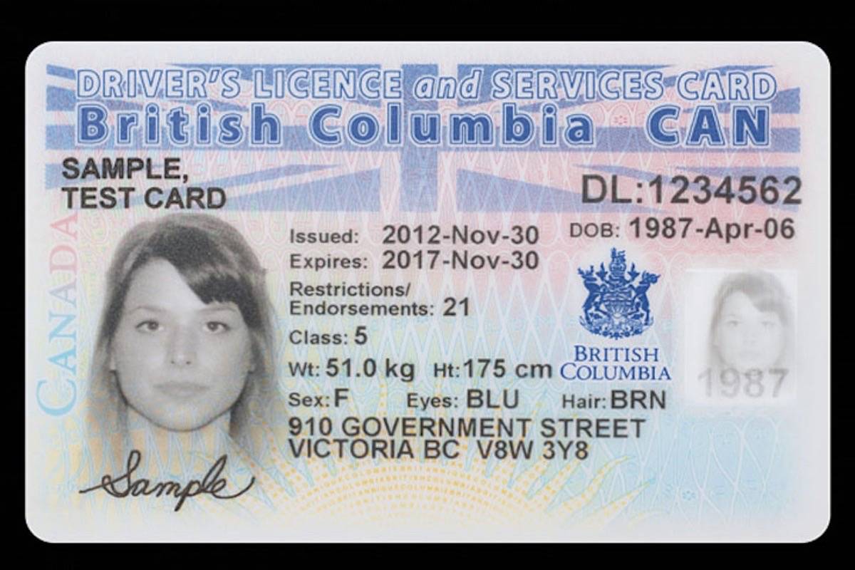 A sample B.C. driver's licence. 