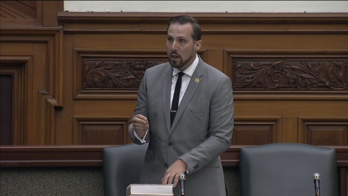 Kingston's provincial member of parliament has been appointed as the NDP's opposition critic for small business recovery amid the coronavirus pandemic. 