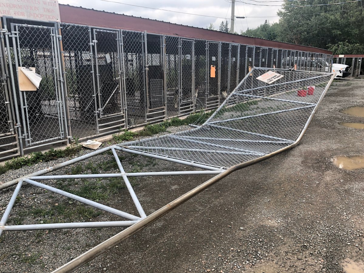 A car rammed through the commercial sliding gate causing about $15,000 in damage, the Greater Moncton SPCA executive director says.