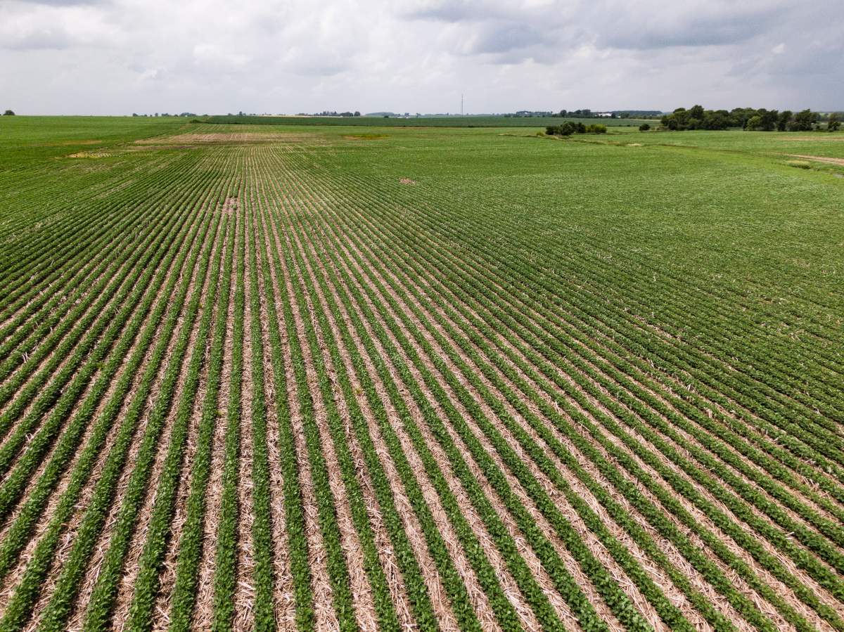 A McMaster doctor is expanding a research study that will see coronavirus testing of farm workers in the Hamilton region.