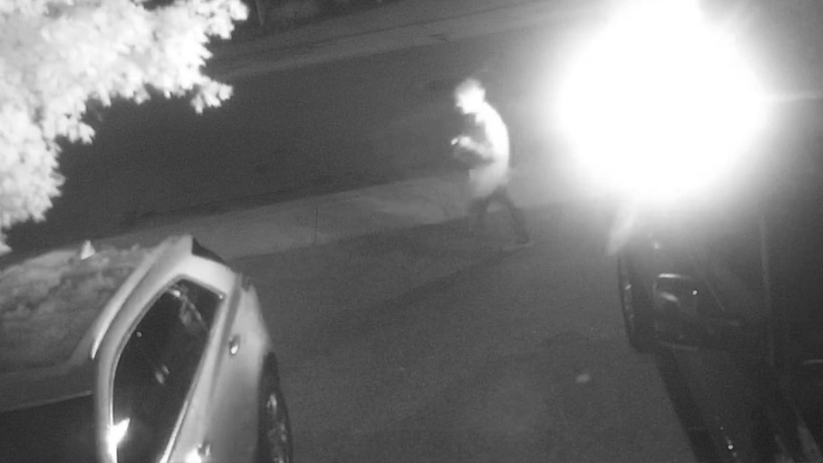 Police say they are looking for man who was wearing a flannel shirt and dark pants when he allegedly set fire to a truck on Mount Pleasant Drive in Hamilton on June 12, 2020.