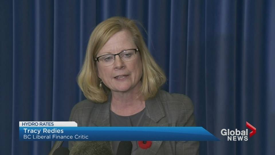 Tracy Redies will be resigning as an MLA to become the next Science World CEO.