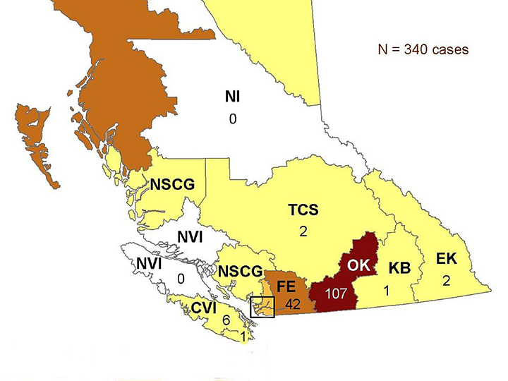 The latest statistics from the B.C. Centre of Disease Control show that 107 cases were reported in the Okanagan region between July 10-23, accounting for almost a third of the province’s new cases during that time span.
