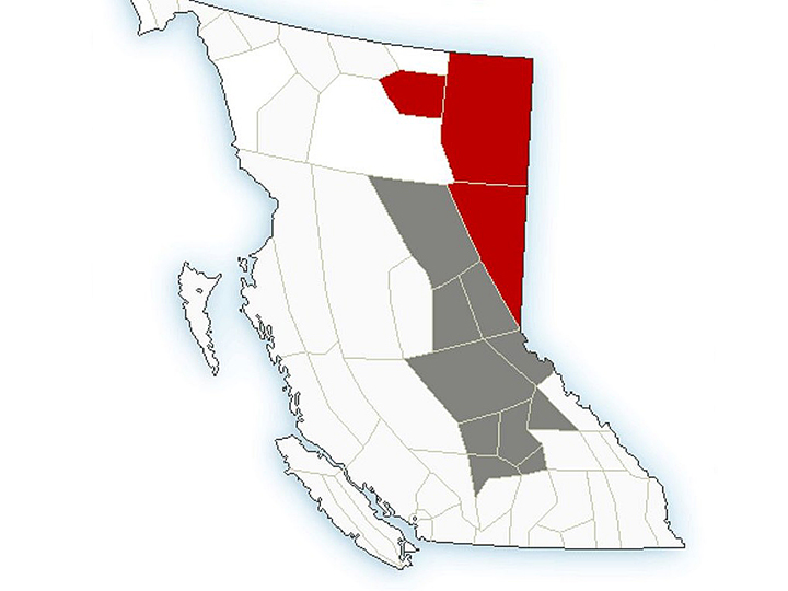 A map showing rainfall alerts (grey) and warnings (red) for B.C. on July 1, 2020. 