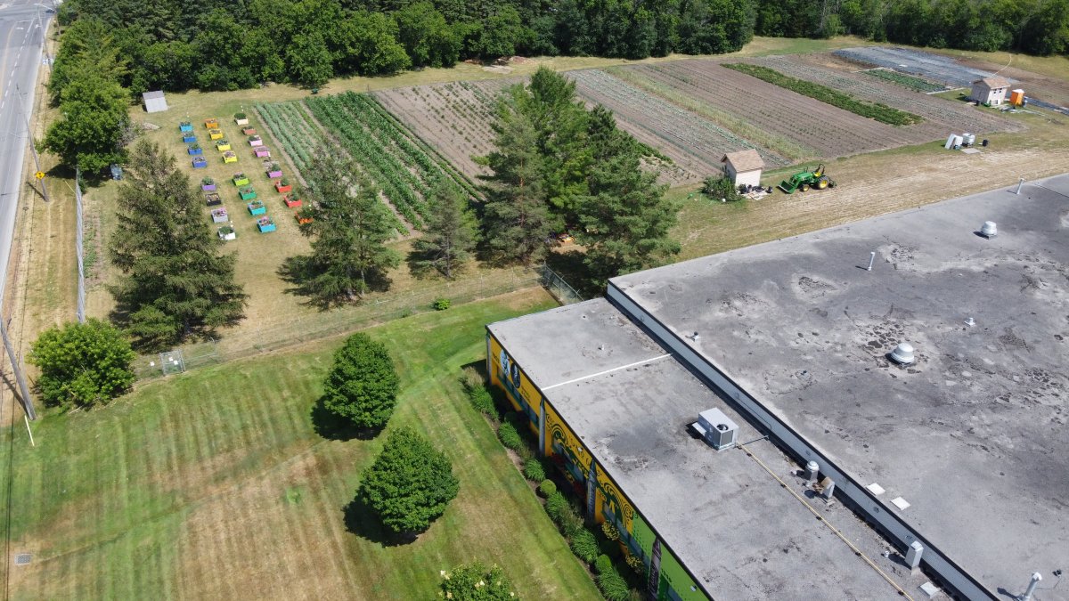 Edwin Binney's Community Garden is projecting a 40 per cent increase over the 5,500 pounds harvested in 2019, its first year of production.