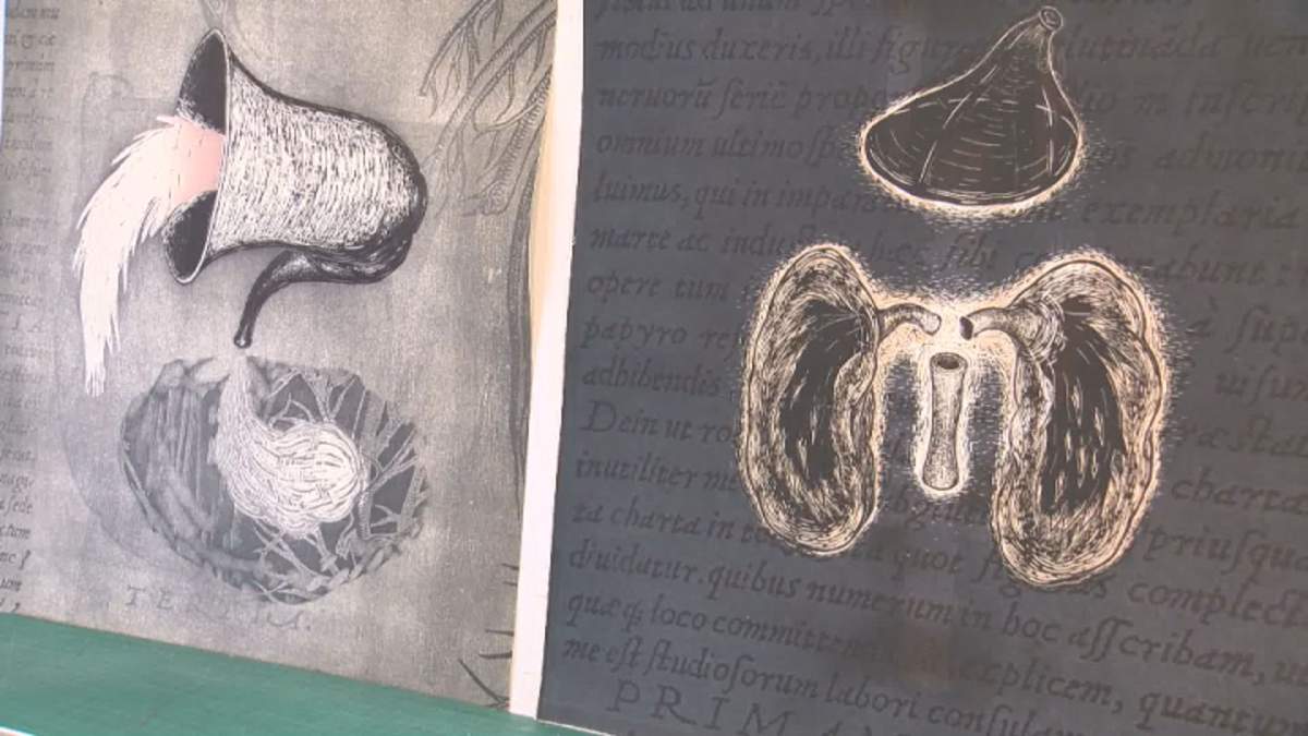 A selection of art from the Caulfield project.