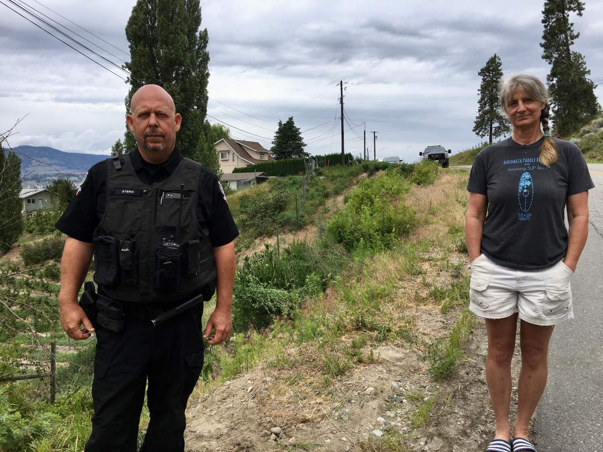 Conservation officer Mike Stern and neighbour Sheila Taylor attempted to free the trapped cow moose after it became entangled in an orchard fence on Tuesday.