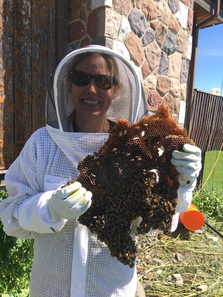 A volunteer pictured removing the bees.