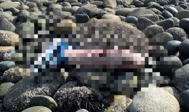 Sunshine Coast RCMP say an image posted to social media is not connected to their investigation after human remains were discovered in Roberts Creek, B.C.