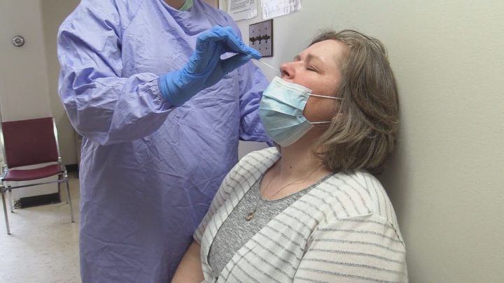 Understanding false positive and false negative COVID-19 tests - image