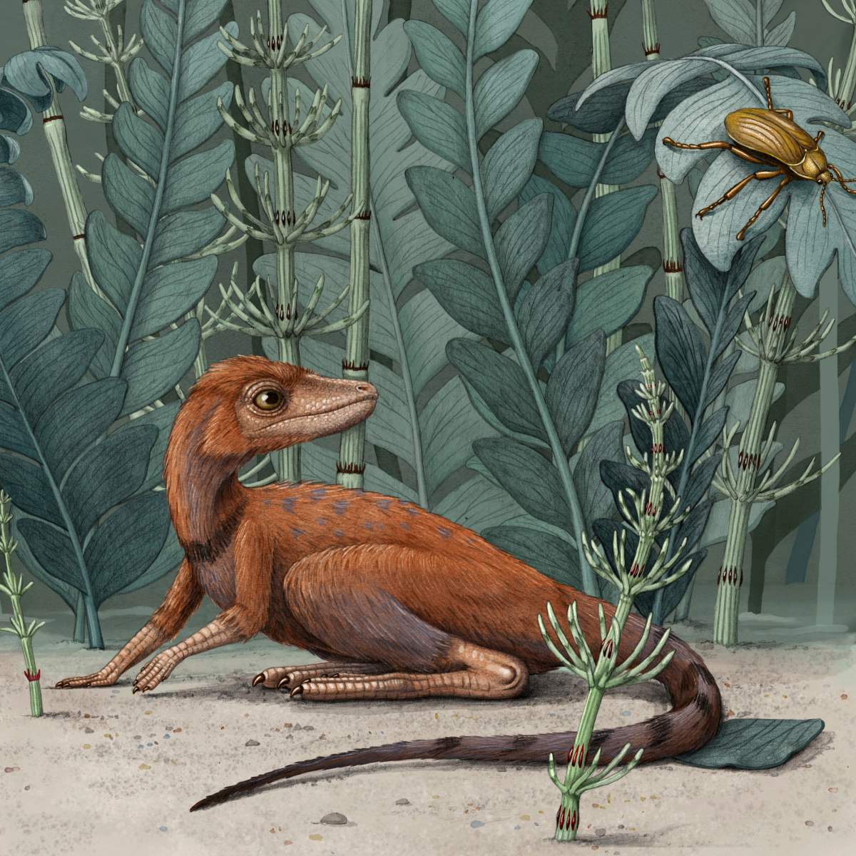 This illustration provided in July 2020 depicts a Kongonaphon kely, a tiny relative of dinosaurs and pterosaurs.