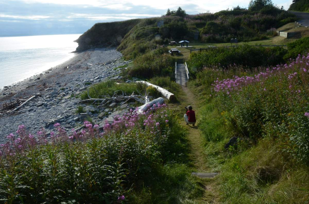 A photographer captures the vista in the south sector of Forillon National Park, in Gaspesie, Que. on Aug. 19, 2016. With Quebec's annual two-week vacation period in full swing and most Quebecers staying in the province due to the COVID-19 pandemic, towns in the Gaspesie are seeing an influx of tourists drawn to the region's charming seaside landscapes. 