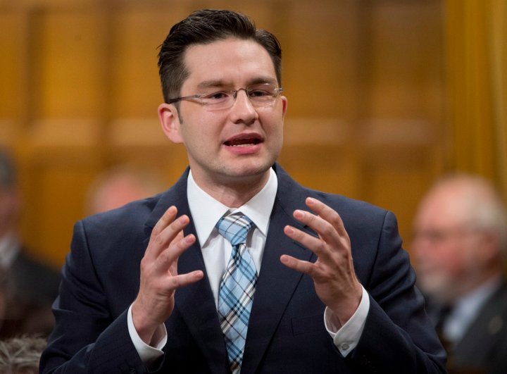 Pierre Poilievre News Videos And Articles 5317