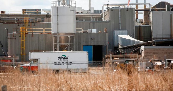 Cargill optimis dapat menghindari aksi kerja karena pekerja pabrik daging memberikan suara 97% mendukung pemogokan