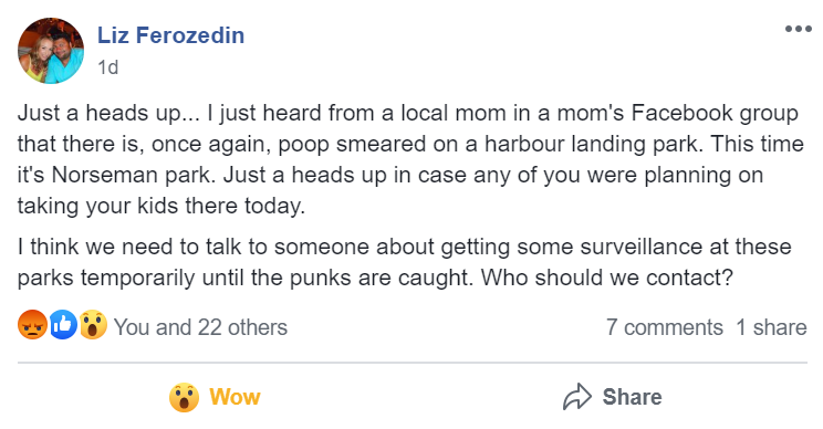 A Facebook post describes an incident in which feces was found on a playground in Regina’s Norseman Park in the Harbour Landing neighborhood.