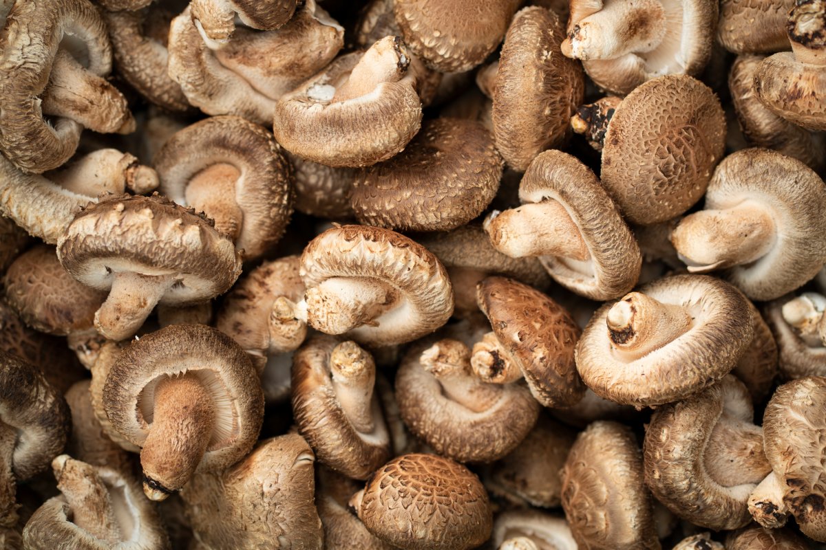 A Winnipeg-based mushroom company has been bought by a U.S. competitor.