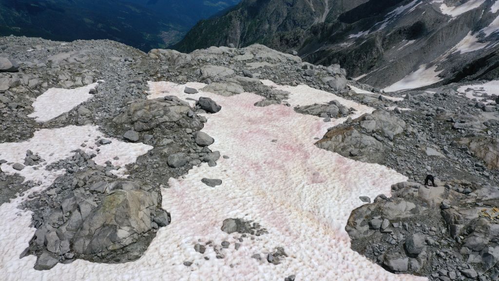 An aerial picture taken on July 3, 2020, above the Presena glacier (2700-3000 m), near Pellizzano, shows pink-colored snow, supposedly due to the presence of colonies of algae of the species Ancylonela nordenskioeldii from Greenland.