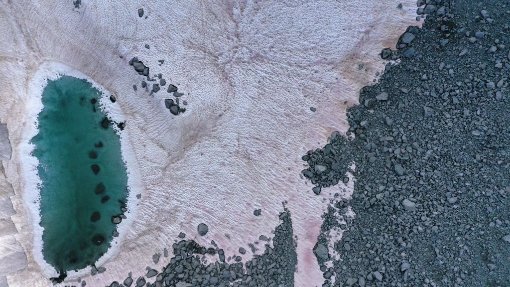 An aerial picture taken on July 3, 2020 above the Presena glacier near Pellizzano, shows pink colored snow, supposedly due to the presence of colonies of algae of the species Ancylonela nordenskioeldii from Greenland.