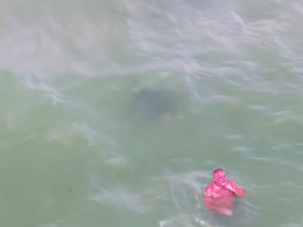 While taking drone footage of a group of stingrays in Florida, Michael J. McCarthy also spotted a heavily sunburnt man.
